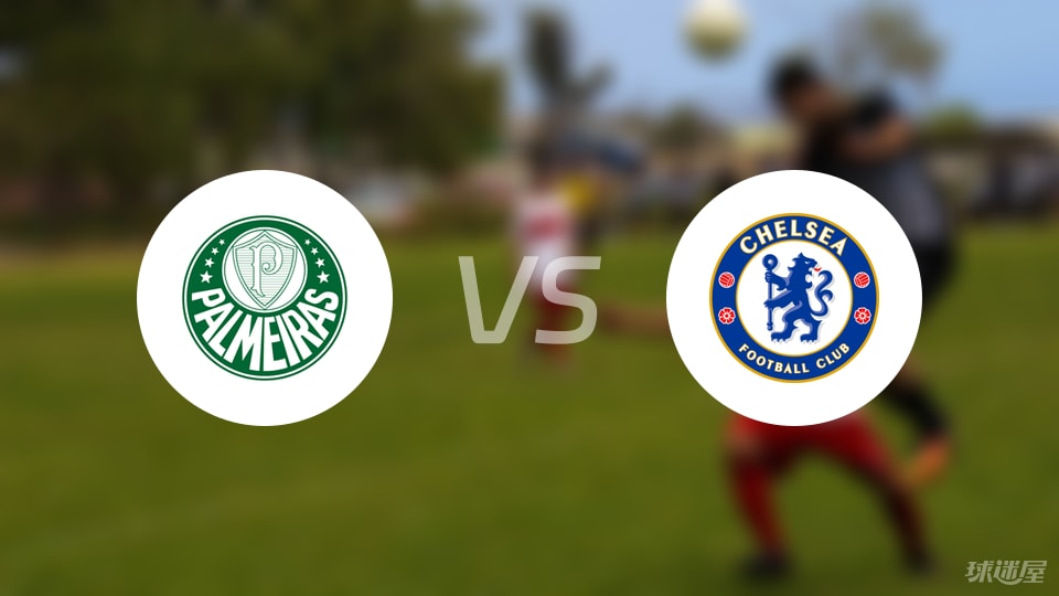 帕尔梅拉斯vs切尔西伤病